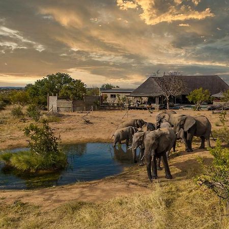 Imagine Africa Luxury Tented Camp Balule Game Reserve Exterior foto