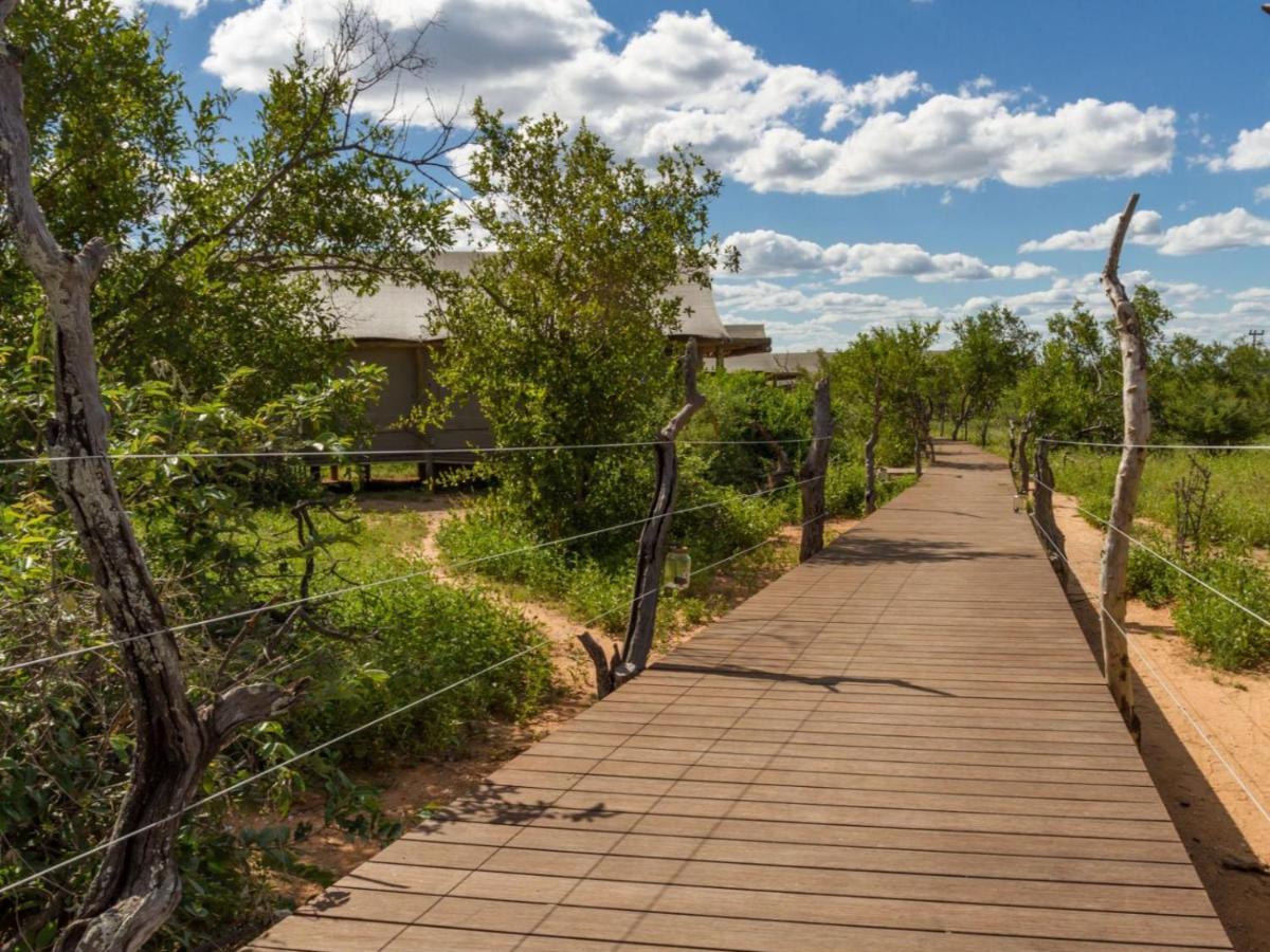 Imagine Africa Luxury Tented Camp Balule Game Reserve Exterior foto