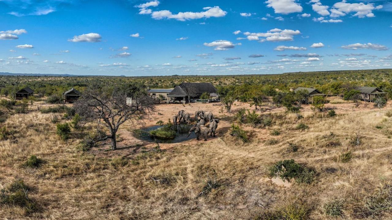 Imagine Africa Luxury Tented Camp Balule Game Reserve Exterior foto